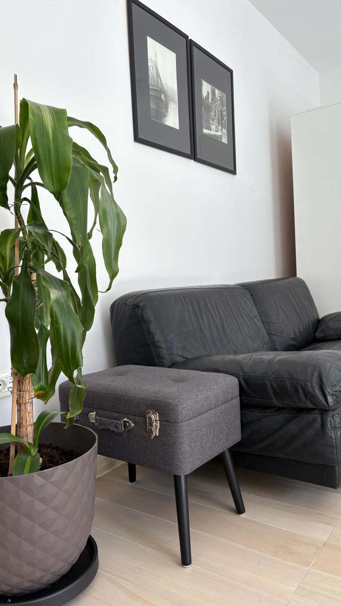 Apartment Vanda בפורטורוז מראה חיצוני תמונה